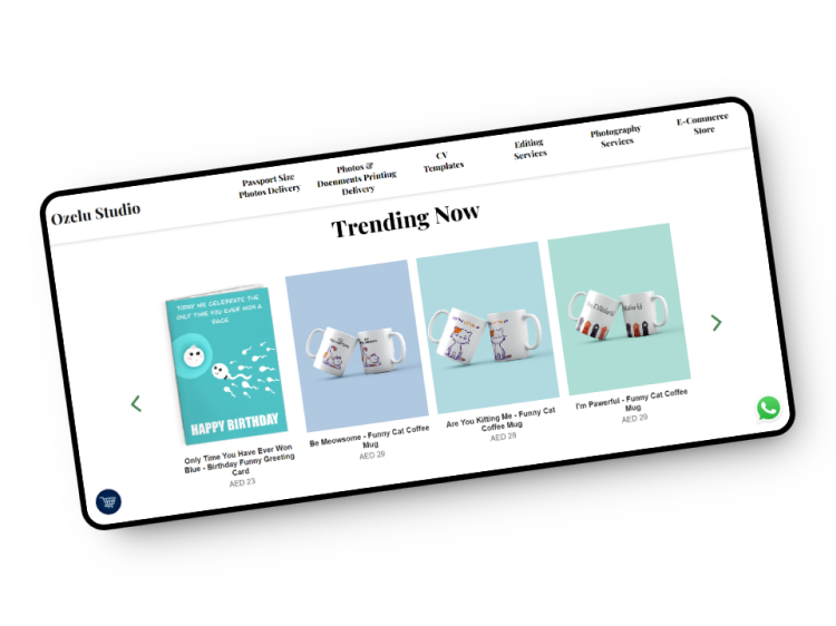 Ozelu Studio + project